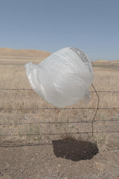 Bag blowing in the wind. A discarded white plastic bag stuck on barbed wire fence, blowing in the wind. California 2026. Photography by Mike Hamar.
